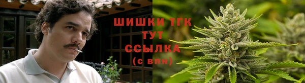 тгк Алексин