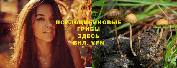 гашик Алзамай