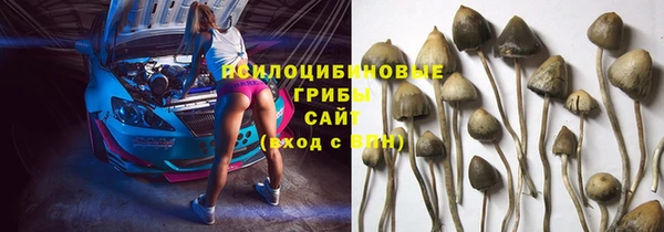 тгк Алексин