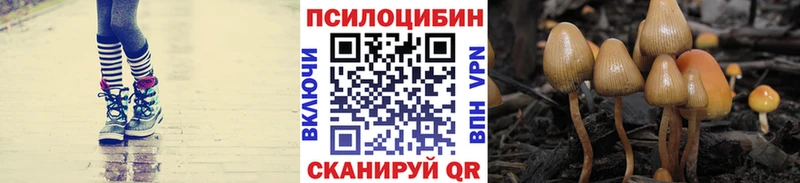 Галлюциногенные грибы ЛСД  Кизел 